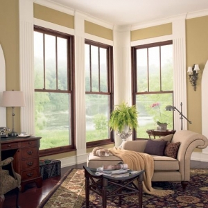 Photo of Next Door & Window