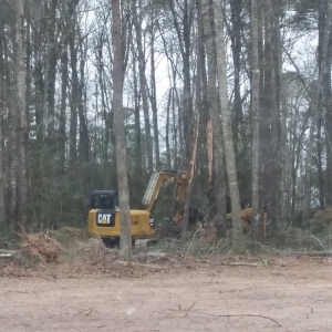 Photo of TMW Land Services