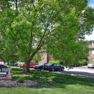 Photo of Mission Hill Apartments - At Home Apartments