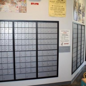 Photo of Accelerated Postal & Print
