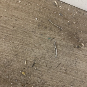 Photo of Dexter's Floors