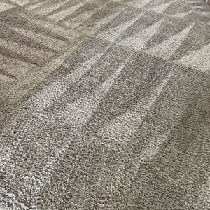 Photo of EcoCarpet Cleaning Service
