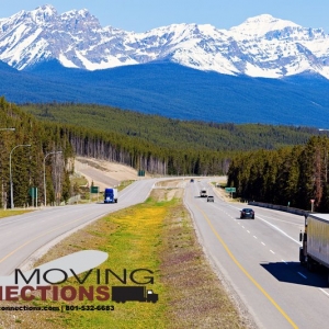 Photo of Moving Connections