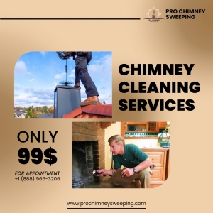 Photo of Pro Chimney Sweep Boston