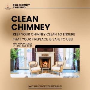 Photo of Pro Chimney Sweep Boston
