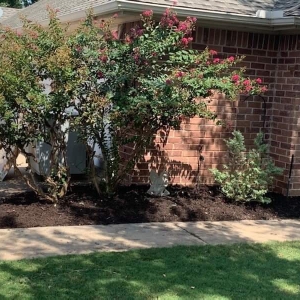 Photo of All About The Yard