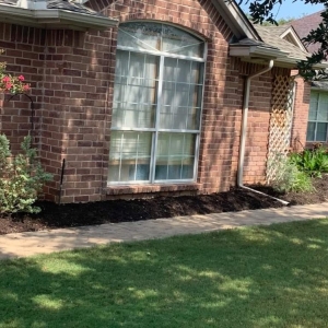 Photo of All About The Yard