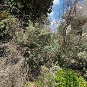 Photo of All About The Yard
