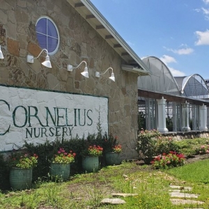 Photo of Cornelius Nursery