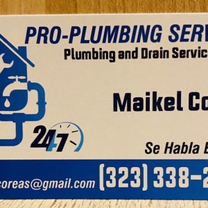 Photo of Plumber Pro
