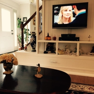 Jersey City Viable Remodeling