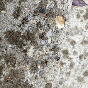Photo of Eternal Rock Construction