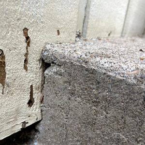 Photo of Eternal Rock Construction