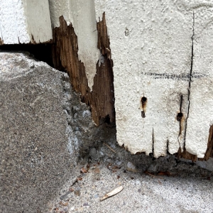 Photo of Eternal Rock Construction