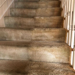Photo of Clean & Fresh Restoration