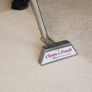 Photo of Clean & Fresh Restoration