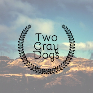 Photo of Two Gray Dogs Investments