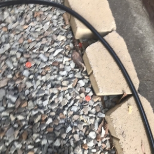 Photo of WeatherSeal Home Services