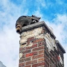 Photo of Get It Done Chimney Sweeps