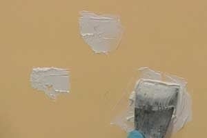 Photo of Master Painters