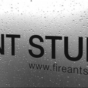 Photo of Fireant Studio