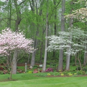 Pegram Southwest Lawns
