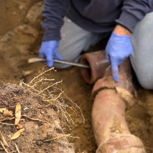 Photo of Aloha Plumbing, Sewers, & Drains