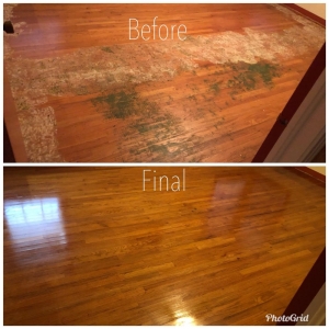 Photo of Heaven's Best Carpet Cleaning