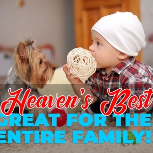 Photo of Heaven's Best Carpet Cleaning