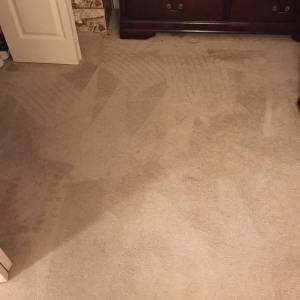 Photo of Oxi Fresh Carpet Cleaning
