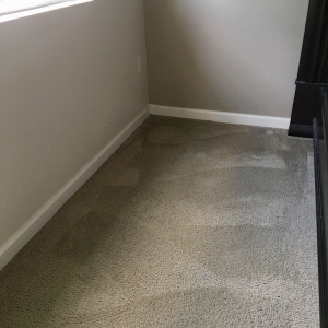 Photo of Rugsies Carpet & Drapery Cleaning