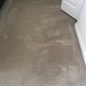 Photo of Rugsies Carpet & Drapery Cleaning