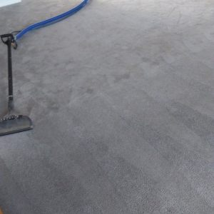 Photo of My Trusted Carpet Cleaners