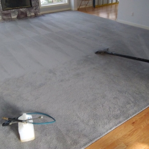 Photo of My Trusted Carpet Cleaners
