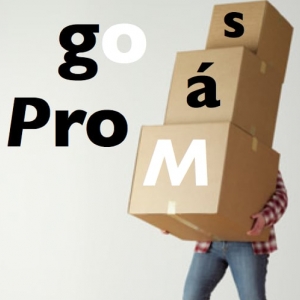 Photo of Go Pro Movers