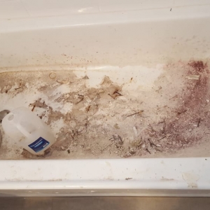Photo of The Best House Office Cleaning