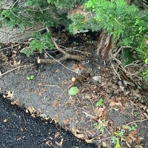 Photo of Charlestown Paving & Excavating