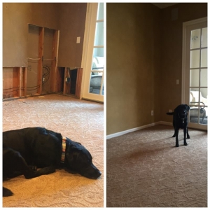 Photo of Restoration Solutions