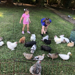 Photo of Ponies & Petting Zoo of Miami