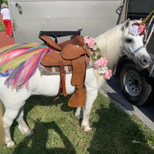 Photo of Ponies & Petting Zoo of Miami