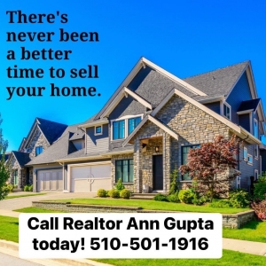Photo of Ann Gupta - Intero Real Estate Services