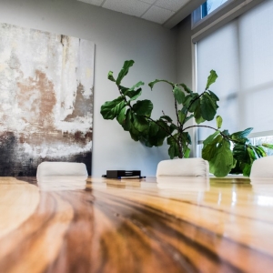 Flower Mound Nelson Law Group, PC