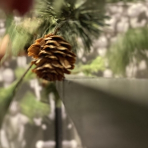 Photo of Enchantment Events & Decor