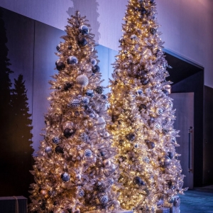 Photo of Enchantment Events & Decor