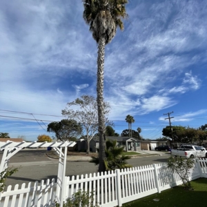 Photo of TC Environmental Service