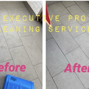 Photo of Executive Pro Cleaning Services