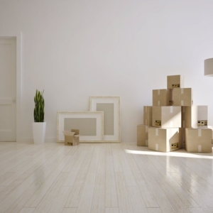 Photo of I Move You