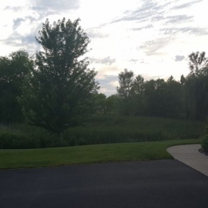 Photo of Trish Jordan, Edina Realtor