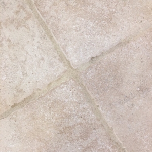 Photo of CJ Frank Carpet Cleaning