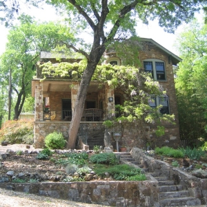 Photo of Carrie Bills - Green Mango Real Estate